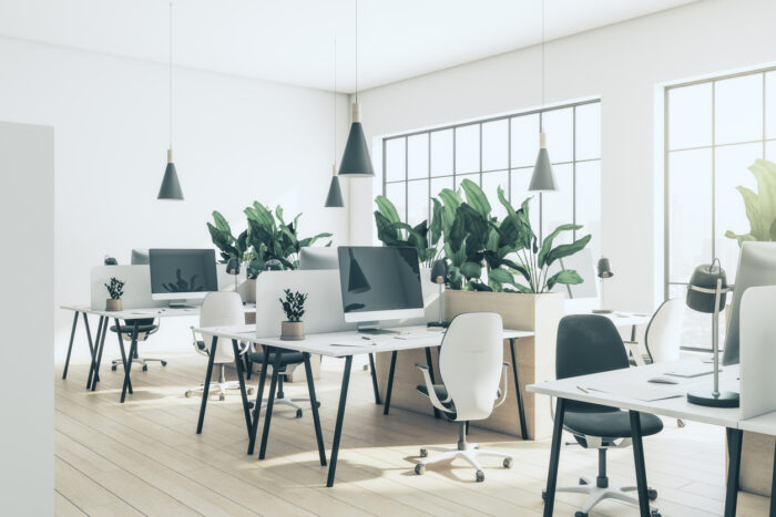 How planting improves work environment 